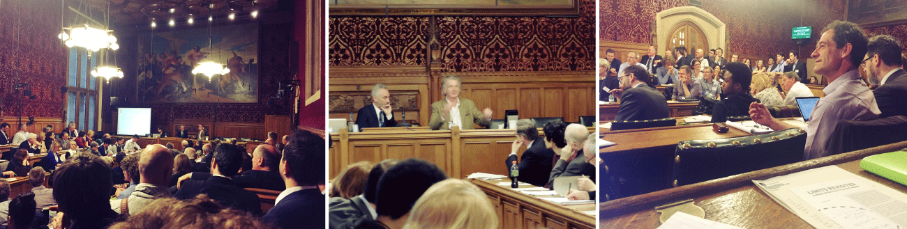 Limits to Growth or Opportunities for Prosperity? | APPG Launch Event with Anders Wijkman